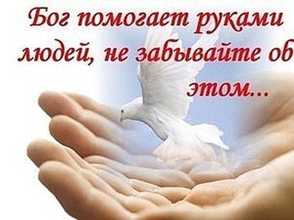 Продолжается второй благотворительный аукцион для Насти Перцевой. | Ярмарка Мастеров - ручная работа, handmade