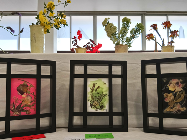 Первое место на выставке-конкурсе Flower Show | Ярмарка Мастеров - ручная работа, handmade Первое место на выставке-конкурсе Flower Show | Ярмарка Мастеров - ручная работа, handmade