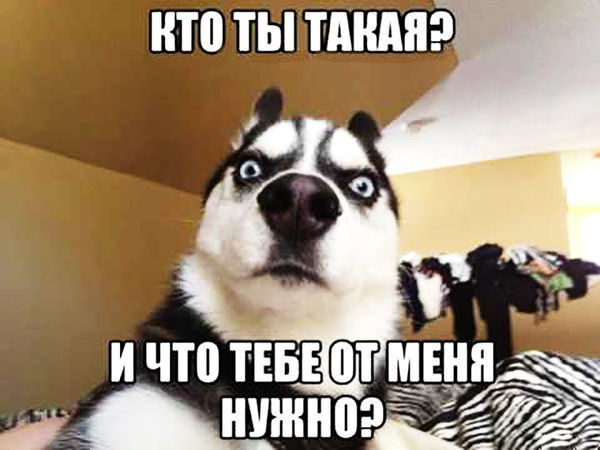 О, покупатель! Что же тебе должен мастер? | Ярмарка Мастеров - ручная работа, handmade