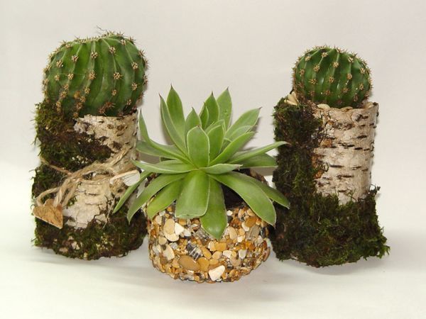 Новые работы. Цветочные композиции. | Ярмарка Мастеров - ручная работа, handmade