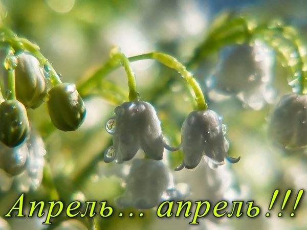 «Апрель... апрель!»: парфюмерная вуаль | Ярмарка Мастеров - ручная работа, handmade