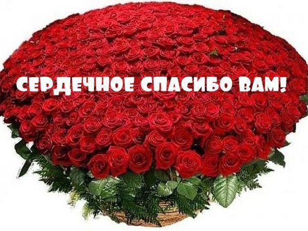 УРА!! Сегодня моя коллекция