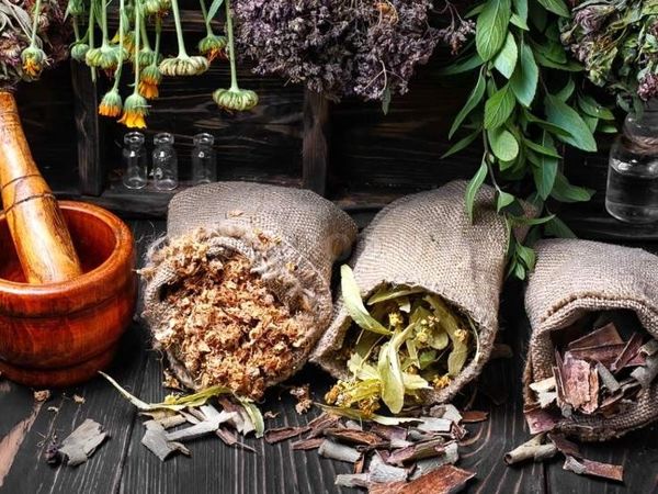 Целебные травы (стишок-запоминалка) | Ярмарка Мастеров - ручная работа, handmade