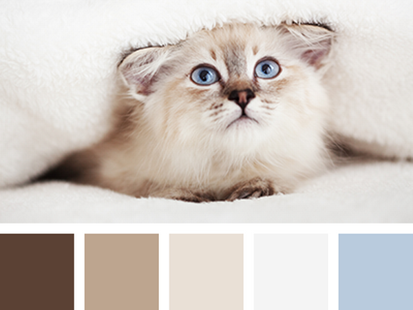 Inspired by Сolor: The Purring World of Cats | Livemaster - handmade