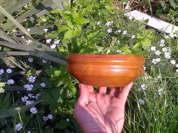 Новинка . Миска из груши