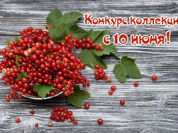 Летний конкурс коллекций стартует уже завтра! | Ярмарка Мастеров - ручная работа, handmade
