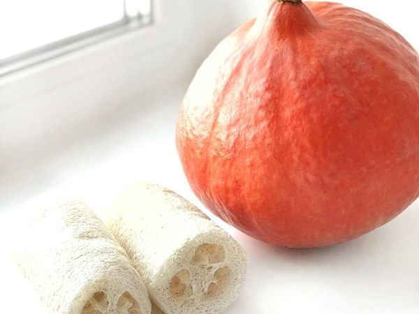 Сколько живёт поролоновая губка? | Ярмарка Мастеров - ручная работа, handmade