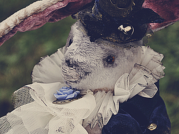 Кролик из Алисы в стране чудес | Ярмарка Мастеров - ручная работа, handmade