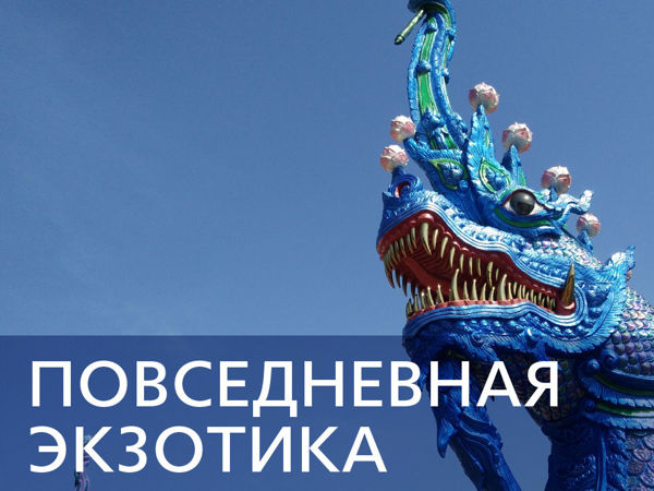 Повседневная экзотика Северного Таиланда | Ярмарка Мастеров - ручная работа, handmade
