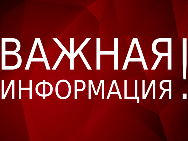 Внимание!!! | Ярмарка Мастеров - ручная работа, handmade