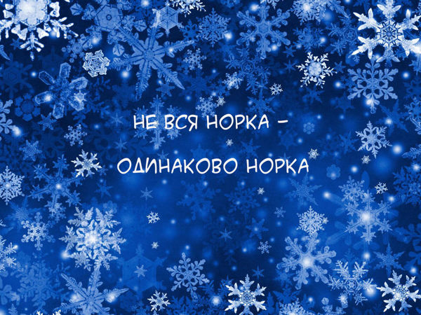 Не вся норка, одинаково норка | Ярмарка Мастеров - ручная работа, handmade