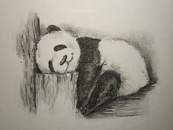 Drawing a Lazy Panda with Charcoal | Livemaster - handmade