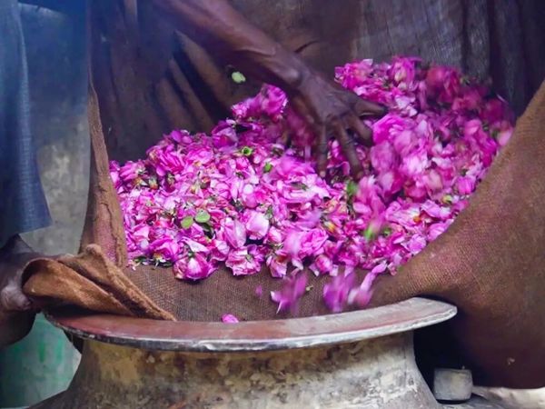 Аттары индийские, производство, стоимость, натуральность, аромат и лечебные свойства | Ярмарка Мастеров - ручная работа, handmade
