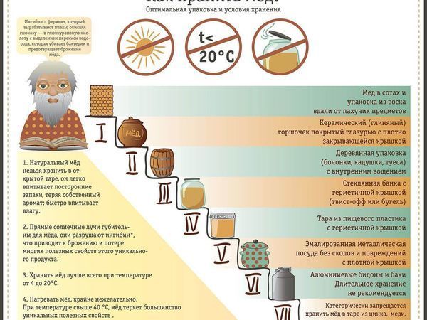 Каким бывает мёд, как правильно его выбрать и хранить