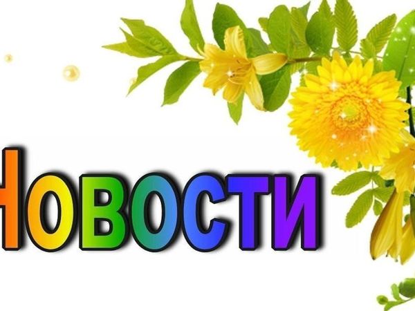 Новости и нюансы по оформлению заказа и доставке | Ярмарка Мастеров - ручная работа, handmade