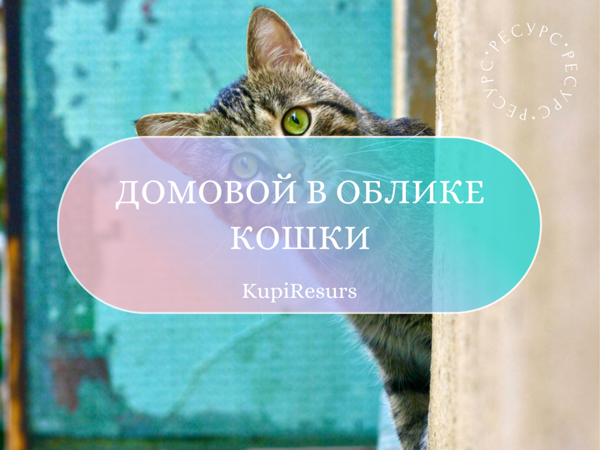 Почему кошка допускается в храм, а собака нет?