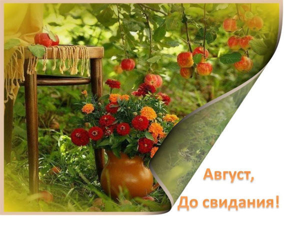 Аукцион-распродажу «Прощай, Август!