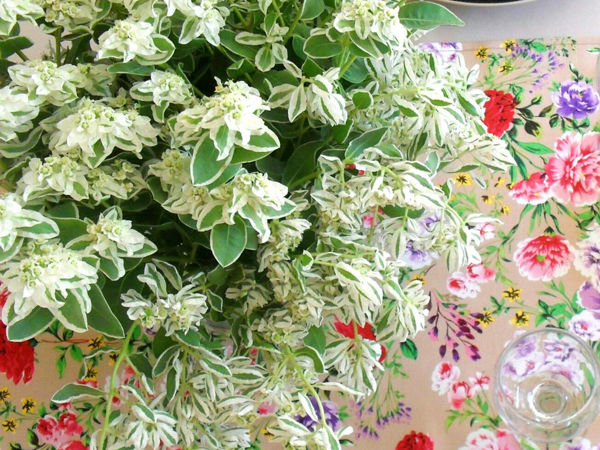 Как Вы яхту назовете, так она и поплывет! | Ярмарка Мастеров - ручная работа, handmade