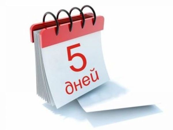5% пять дней! | Ярмарка Мастеров - ручная работа, handmade