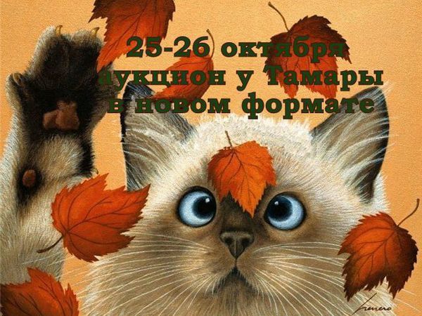 Стартовал аукцион у Тамары! Новый формат! | Ярмарка Мастеров - ручная работа, handmade