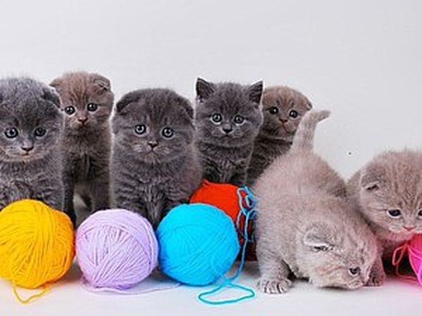 Эстафета радости! | Ярмарка Мастеров - ручная работа, handmade