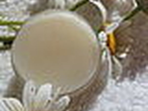Новогодний Праздник у Ренаты Умяровой | Ярмарка Мастеров - ручная работа, handmade