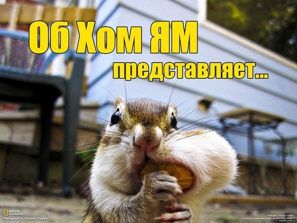 Закрыт! 4-ый аукцион-расхомячивание стартовал! Всем Спасибо! | Ярмарка Мастеров - ручная работа, handmade