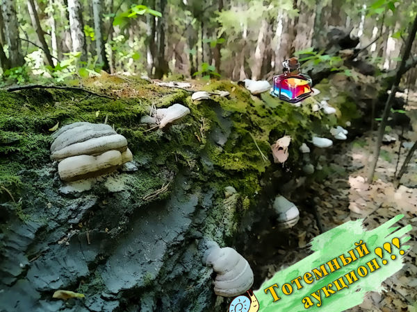 Тотемный аукцион (завершён) | Ярмарка Мастеров - ручная работа, handmade