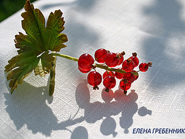 Red currant is made of epoxy resin | Ярмарка Мастеров - ручная работа, handmade