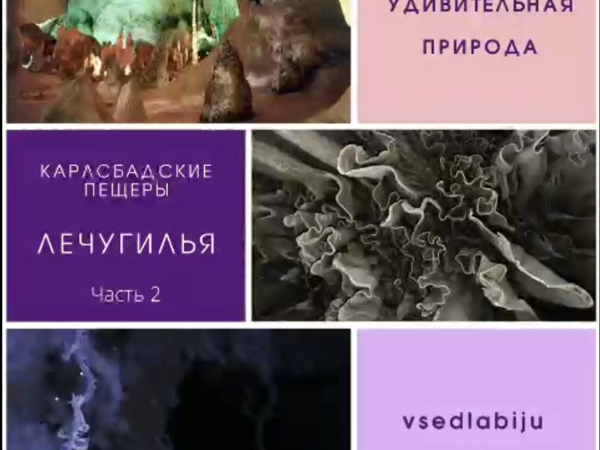Удивительное в природе. Карлсбадские пещеры. Лечугилья. Часть 2 | Ярмарка Мастеров - ручная работа, handmade