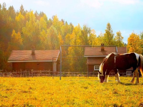 Стихи молодого крымского поэта Антона Оскирко 20 лет. ( Пожелаем ему удачи): Пер