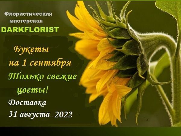 Принимаю заказы на букеты к 1 сентября. Доставка | Ярмарка Мастеров - ручная работа, handmade
