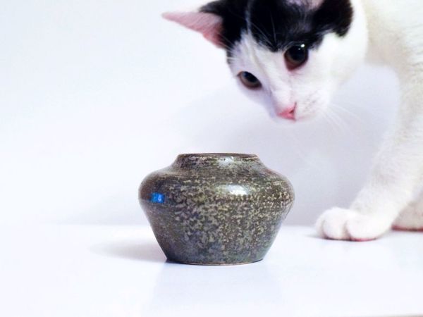 Знакомьтесь, Relenium Ceramics | Ярмарка Мастеров - ручная работа, handmade