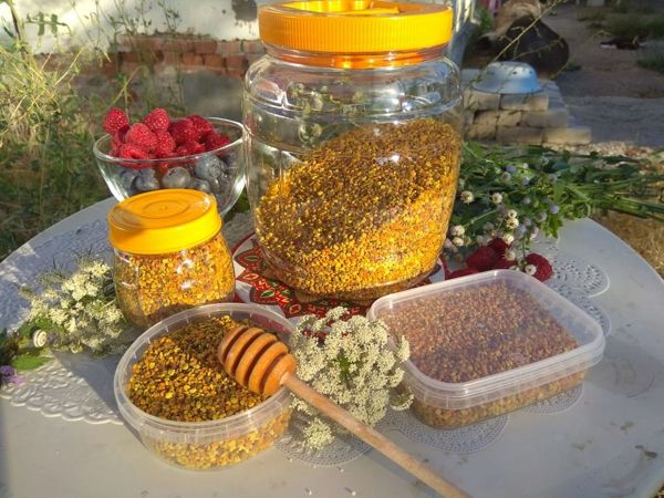Пыльца-новый сбор- снова в продаже! | Ярмарка Мастеров - ручная работа, handmade