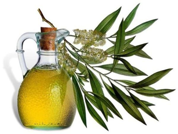 Можно ли пить оливковое масло на ночь? | Ярмарка Мастеров - ручная работа, handmade