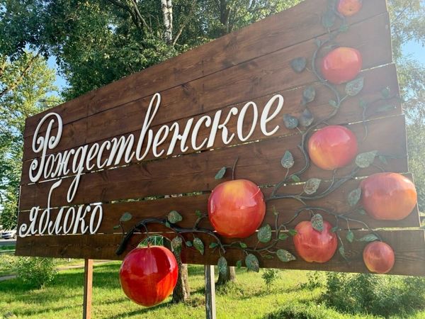 Портал малого и среднего предпринимательства Новгородской области Новости