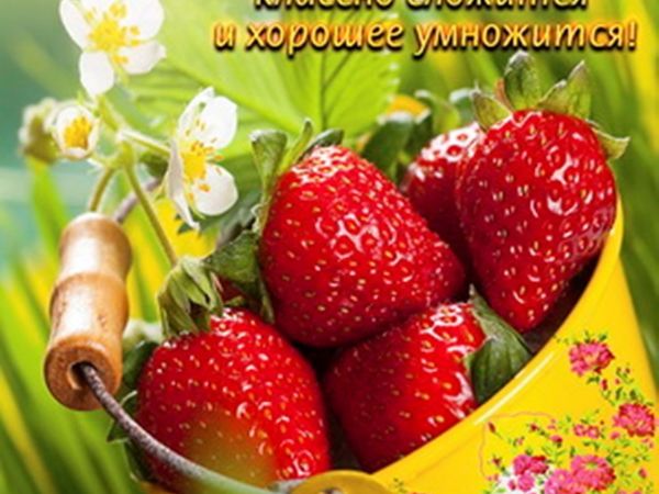 Пусть за окном зима снежная, а я дарю всем кусочек лето и радуйтесь батюшке Серафиму что с нам. читайте мои выходные | Ярмарка Мастеров - ручная работа, handmade