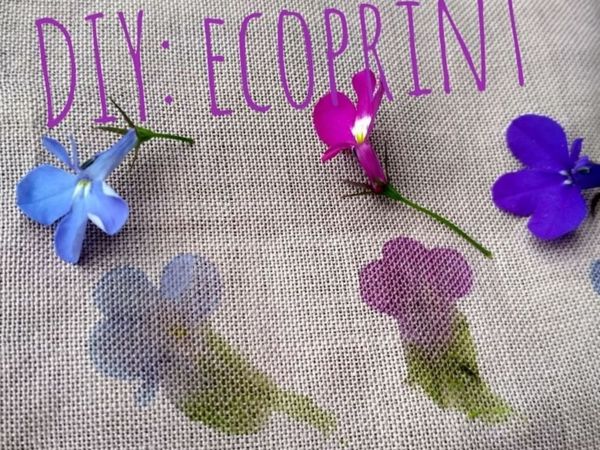 Creating Ecoprint from Flowers and Leaves | Livemaster - handmade