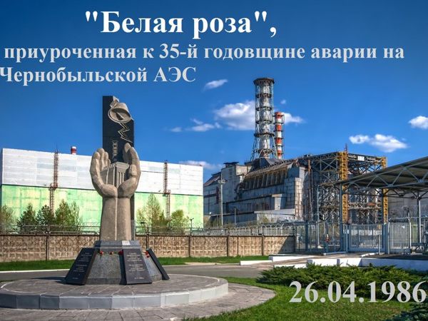 «Белая роза!» | Ярмарка Мастеров - ручная работа, handmade