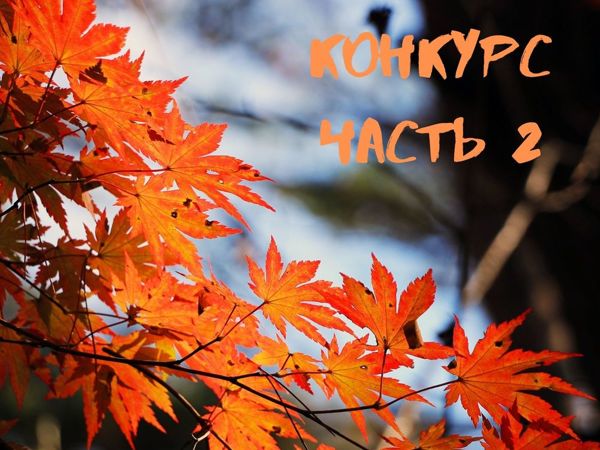 Конкурс коллекций «Осенний альбом» от Di J, ч.2 | Ярмарка Мастеров - ручная работа, handmade