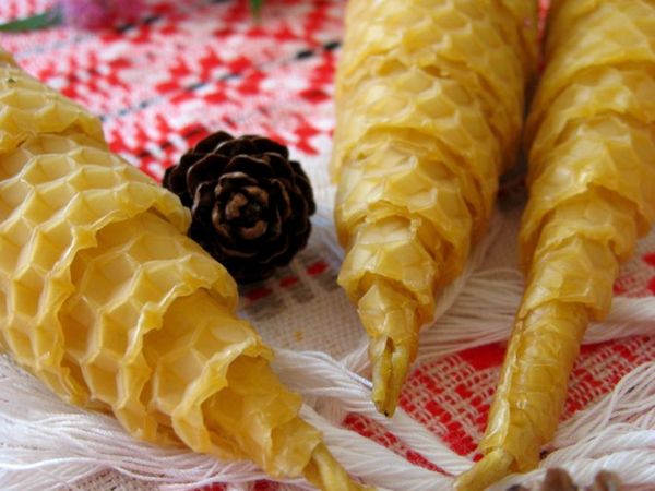 Природа всё давно придумала | Ярмарка Мастеров - ручная работа, handmade