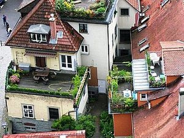 Зеленые крыши городов | Ярмарка Мастеров - ручная работа, handmade