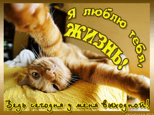 Совместный аукцион