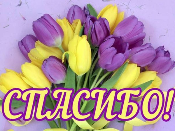 Новая коллекция! Большое спасибо за поддержку! | Ярмарка Мастеров - ручная работа, handmade