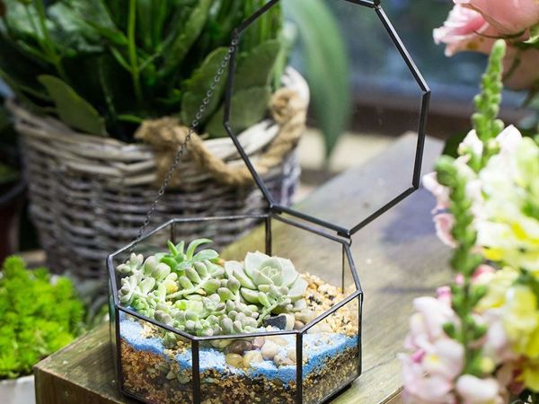 Beauty and Simplicity: 36 Interior Ideas with Succulents | Livemaster - handmade