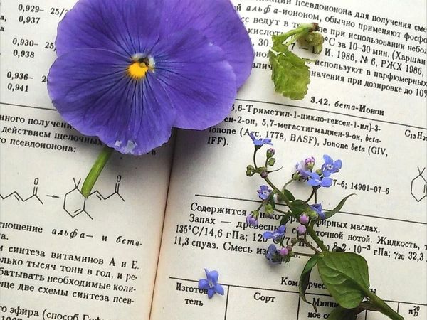 Найти в чужих итогах года свои! | Ярмарка Мастеров - ручная работа, handmade