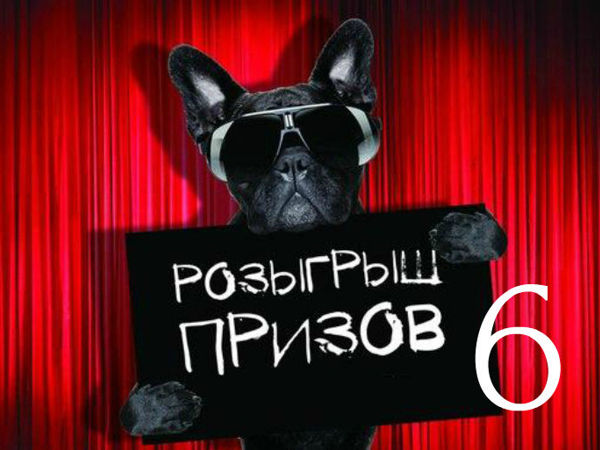 Старт ! Будь в Центре Внимания 6 | Ярмарка Мастеров - ручная работа, handmade