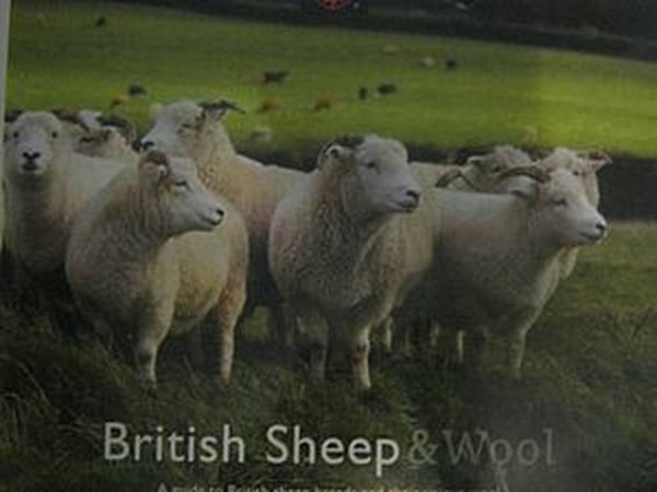 Английский флис + книга про английские породы овец | Журнал Ярмарки ...