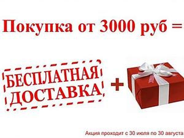 Акция Бесплатная Доставка Интернет Магазин