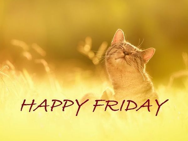 Happy Friday! 25% скидка на готовые броши! | Ярмарка Мастеров - ручная работа, handmade